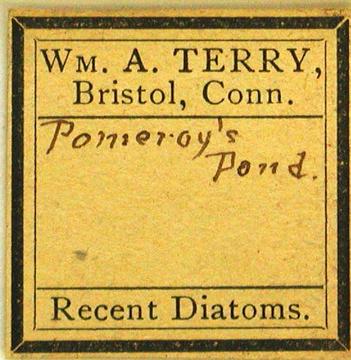 Terry Diatom Slide Label
