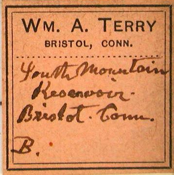 Terry Diatom Slide Label