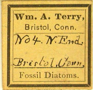 Terry Diatom Slide Label