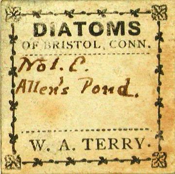 Terry Diatom Slide Label