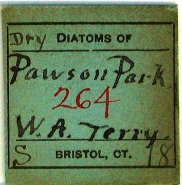 Terry Diatom Slide Label
