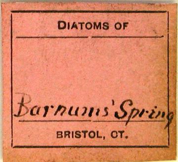 Terry Diatom Slide Label