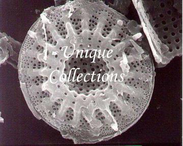 Unique collections image