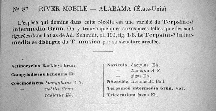 Locality information for TPii87